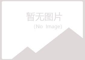 武功县曼山会计有限公司